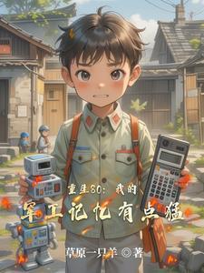重生80：我的军工记忆有点猛